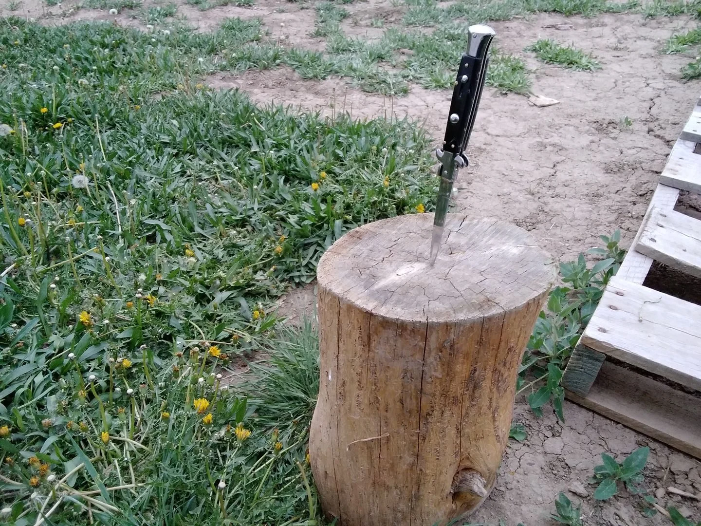 Italian Stiletto Switchblade Image Review 117